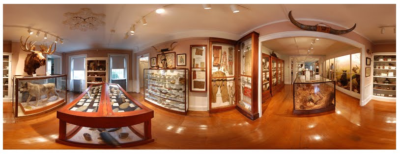 Inside The Woodman Museum